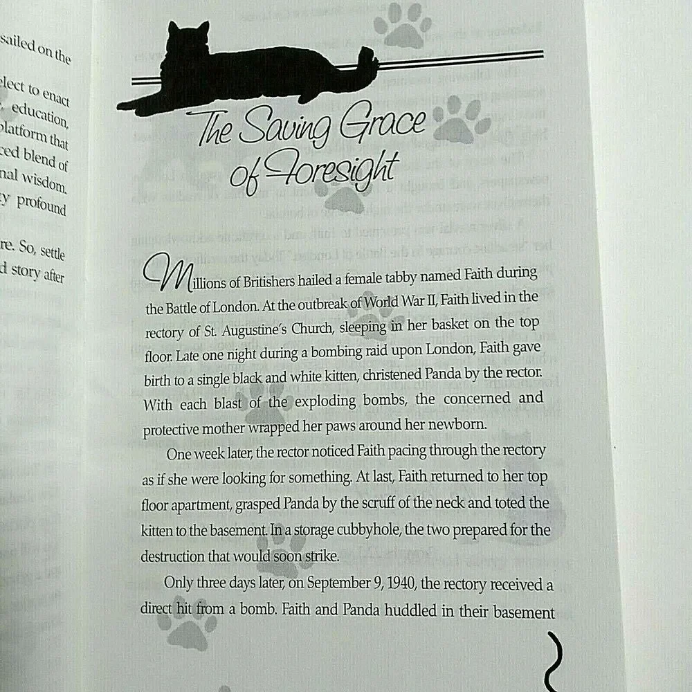 Inspur-R-Rational Inspirational Stories for CAT Lovers  Niki Anderson Book 1999